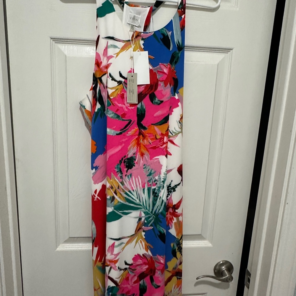 Cupio Multicolor Floral Dress